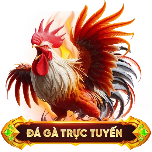 đá gà trực tuyến 888B